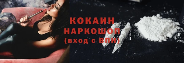 шишки Алексин
