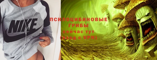 прущая мука Алзамай