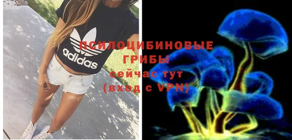 прущая мука Алзамай