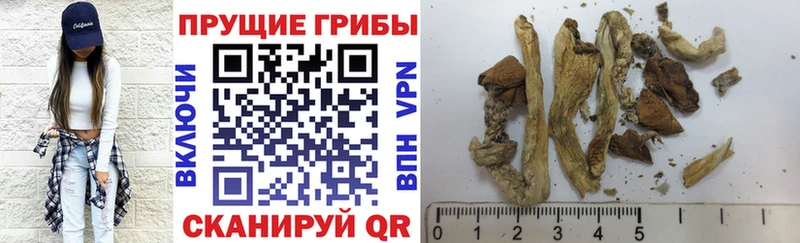 даркнет клад  Октябрьск  Псилоцибиновые грибы MAGIC MUSHROOMS  где можно купить наркотик 