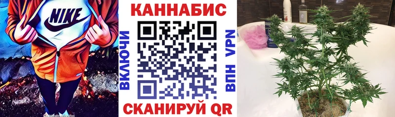 Марихуана SATIVA & INDICA  купить наркоту  Октябрьск 